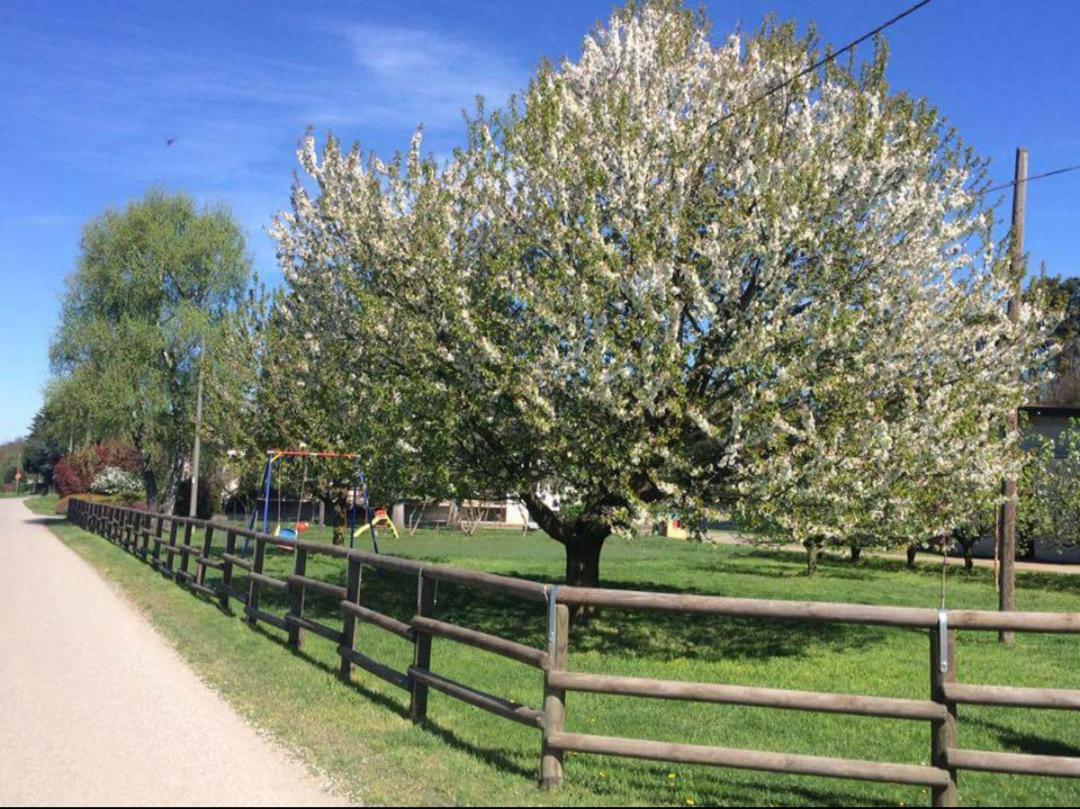 Azienda Agrituristica Scotti Somma Lombardo Zewnętrze zdjęcie
