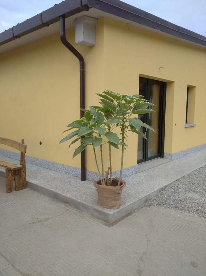 Azienda Agrituristica Scotti Somma Lombardo Zewnętrze zdjęcie