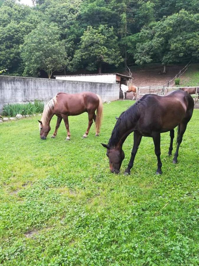 Azienda Agrituristica Scotti Somma Lombardo Zewnętrze zdjęcie